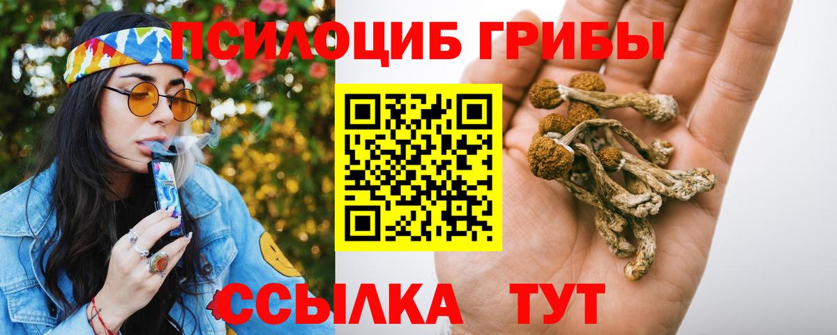 Псилоцибиновые грибы мухоморы Балаково